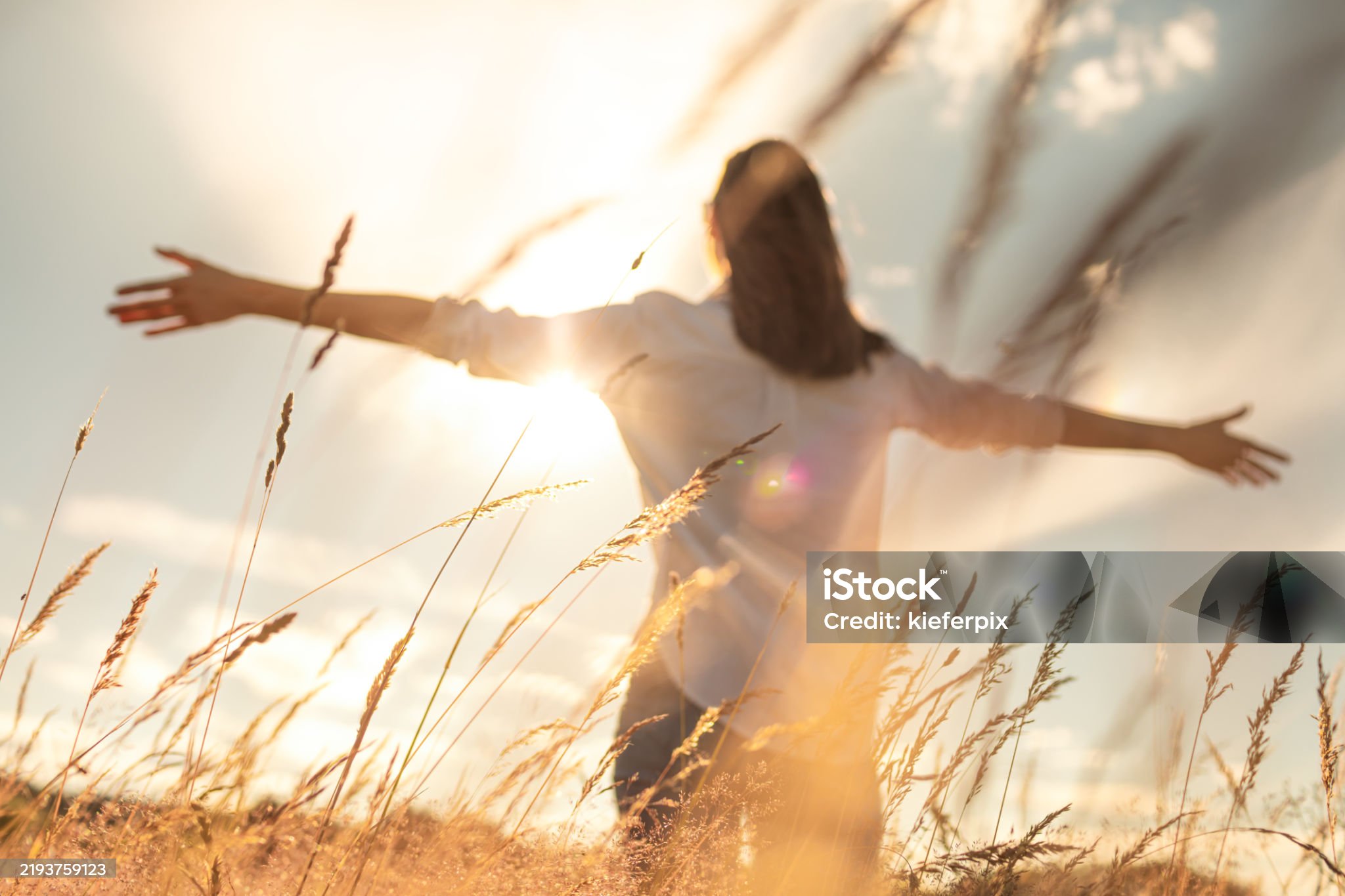 Read more about the article How Can Therapy Help?